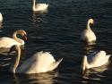 IMG_4047.jpg