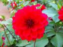 DSCF0097.JPG