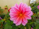 DSCF0105.JPG