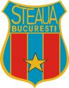 emblemsteaua1991.JPG