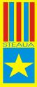 steaua_aniversare.JPG