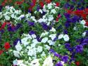 DSC00422.jpg
