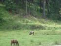 DSC04554.JPG