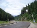 DSC04556.JPG