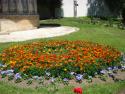 DSC04756.JPG