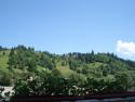 DSC04775.JPG