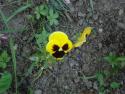 botanica_062.jpg
