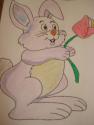 DSC05984.JPG