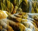 Yellow_Stone_USA_1_.jpg