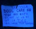 betivul_bou.jpg