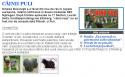 ScreenHunter_1.jpg