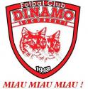 dinamo1.jpg