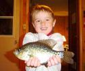 fish32.jpg