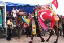 yal__305___apk__305_n__305_.jpg