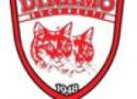 sigla_dinamo_070bbbc.jpg