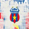 Steaua_fcsteauaro_2135830944_272221093.jpg