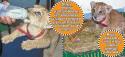 thumb_612_x_0_3852_113217_l.jpg