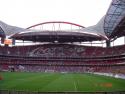 DSC01204.jpg