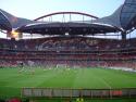 DSC01216.jpg