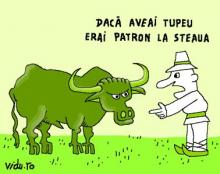 Atitudinea e totu'!