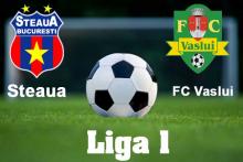 Avancronica Steaua - FC Vaslui