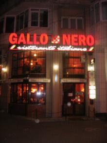 Gallo nero