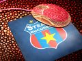 Steaua