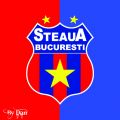 Steaua 3