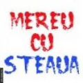 steaua 