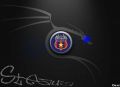 steaua 4ever!!!!!!!