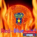 STEAUA