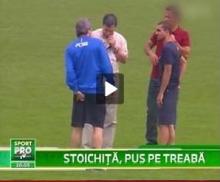 Stoichita Lippi si-a inceput munca in Ghencea