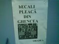 Afis bECALI PLEACA DIN GHENCEA!!! ORADEA