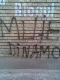 M**E Dinamo