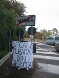 CT _ becali PLEACA DIN GHENCEA!!!