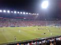 Steaua - Grasshopper  1-0