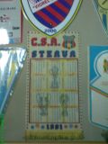 STEAUA INSEAMNA CSA